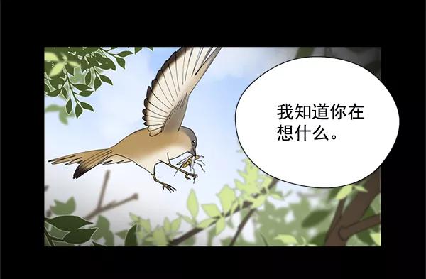 《狼与小红帽》第19话 第48页