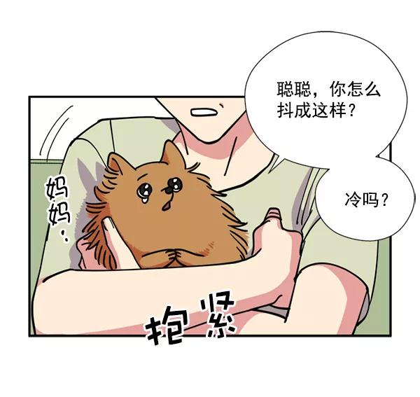 《狼与小红帽》第20话 第63页