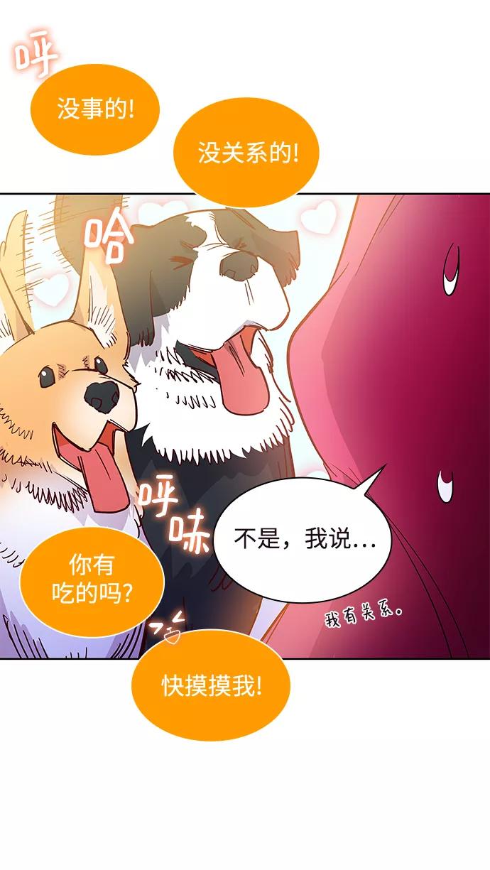《菲丽亚罗杰-荆棘王冠的预言》[第23话] 预言的轨迹（1） 第45页