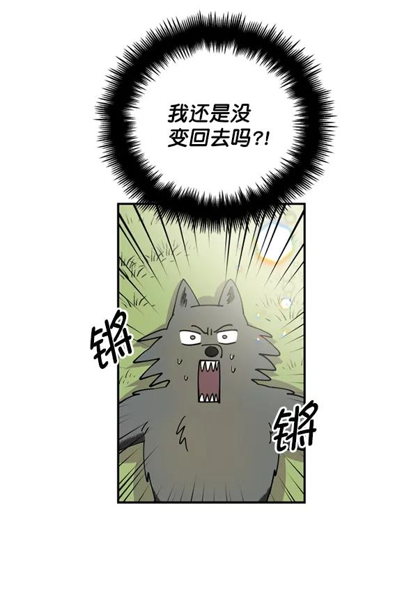 《狼与小红帽》第25话 第5页