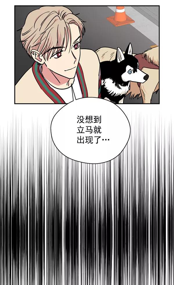 《狼与小红帽》第28话 第41页