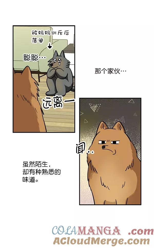 《狼与小红帽》第31话 第22页