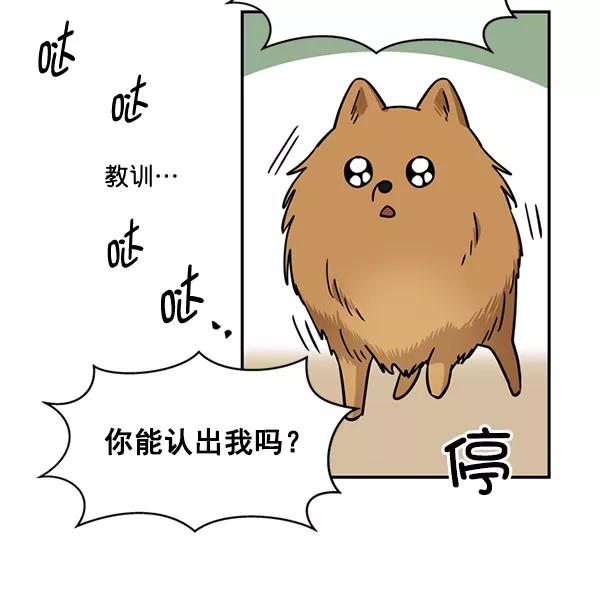 《狼与小红帽》第31话 第17页