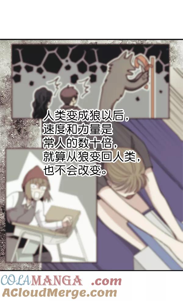 《狼与小红帽》第34话 第43页
