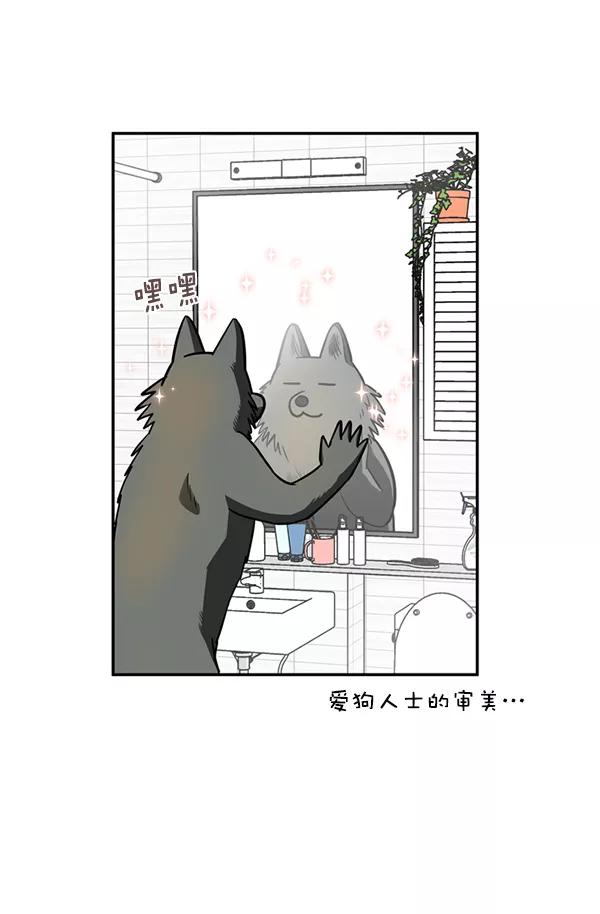 《狼与小红帽》第38话 第77页