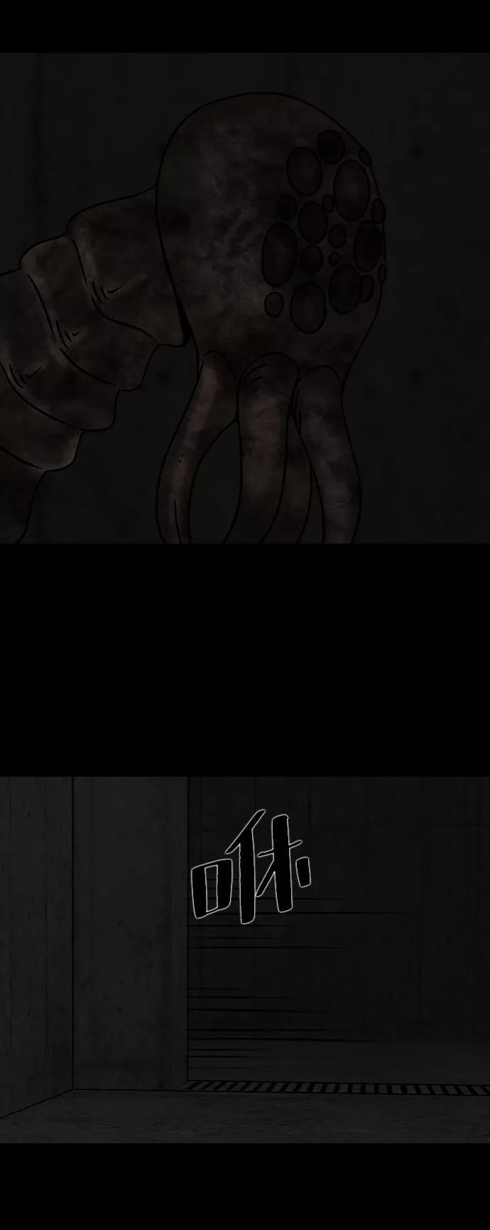 47.jpg