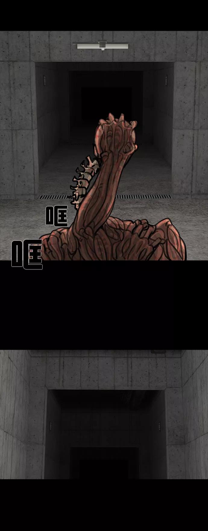 41.jpg