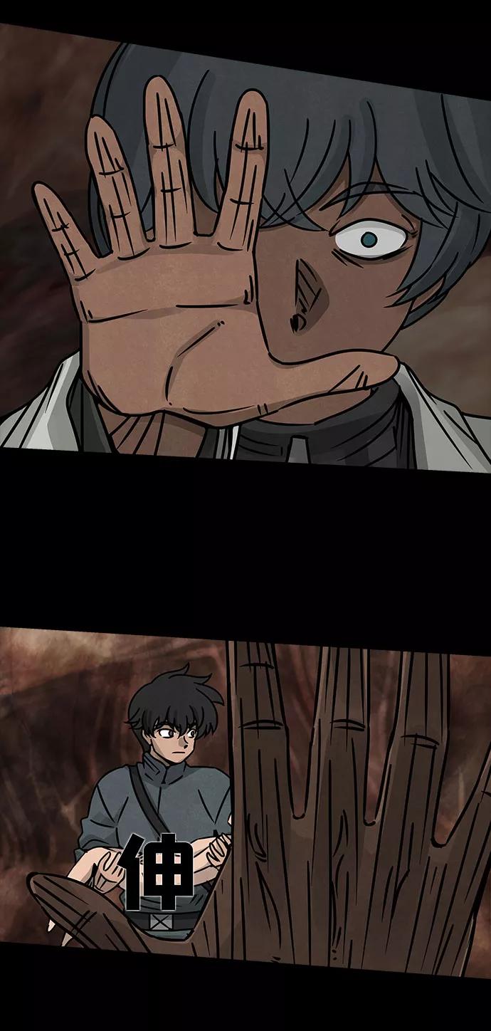 41.jpg