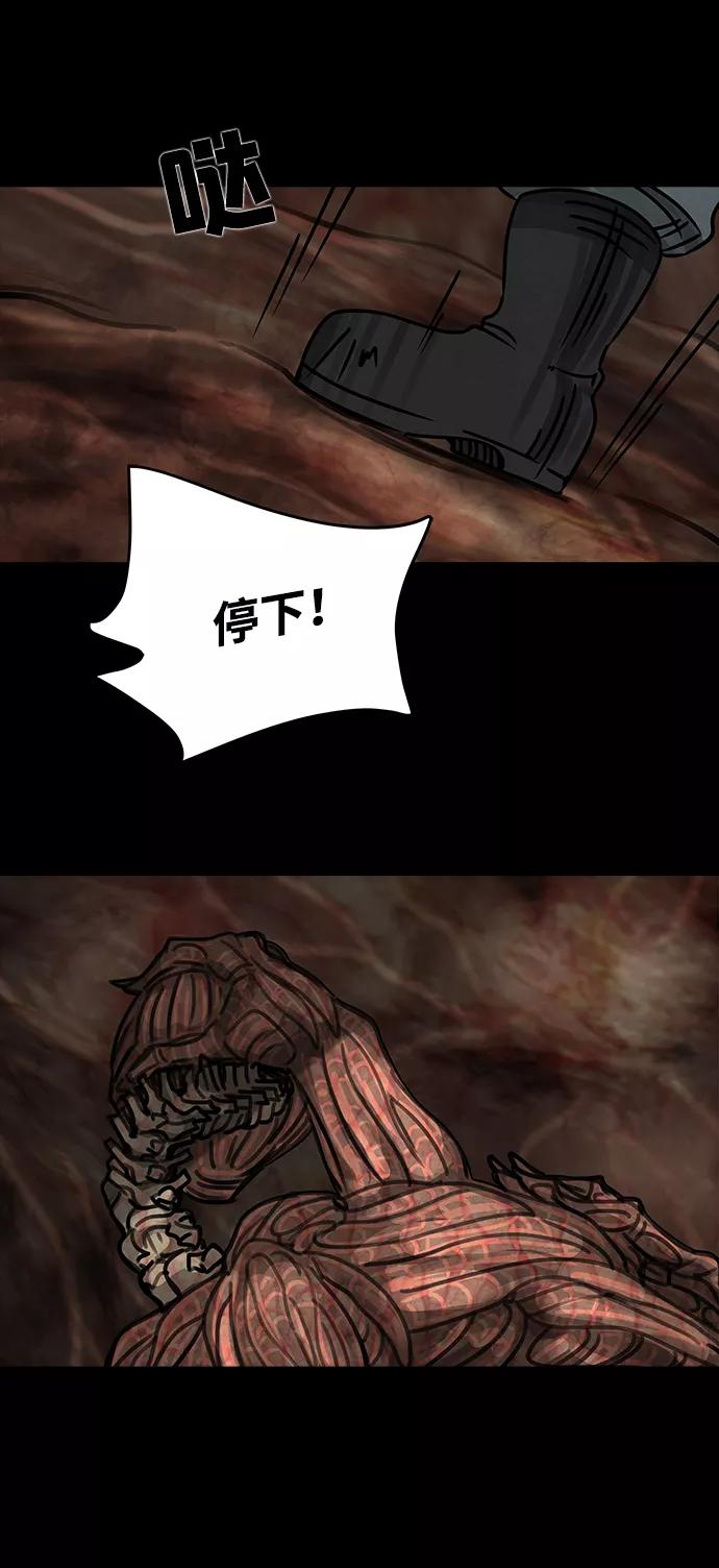 51.jpg