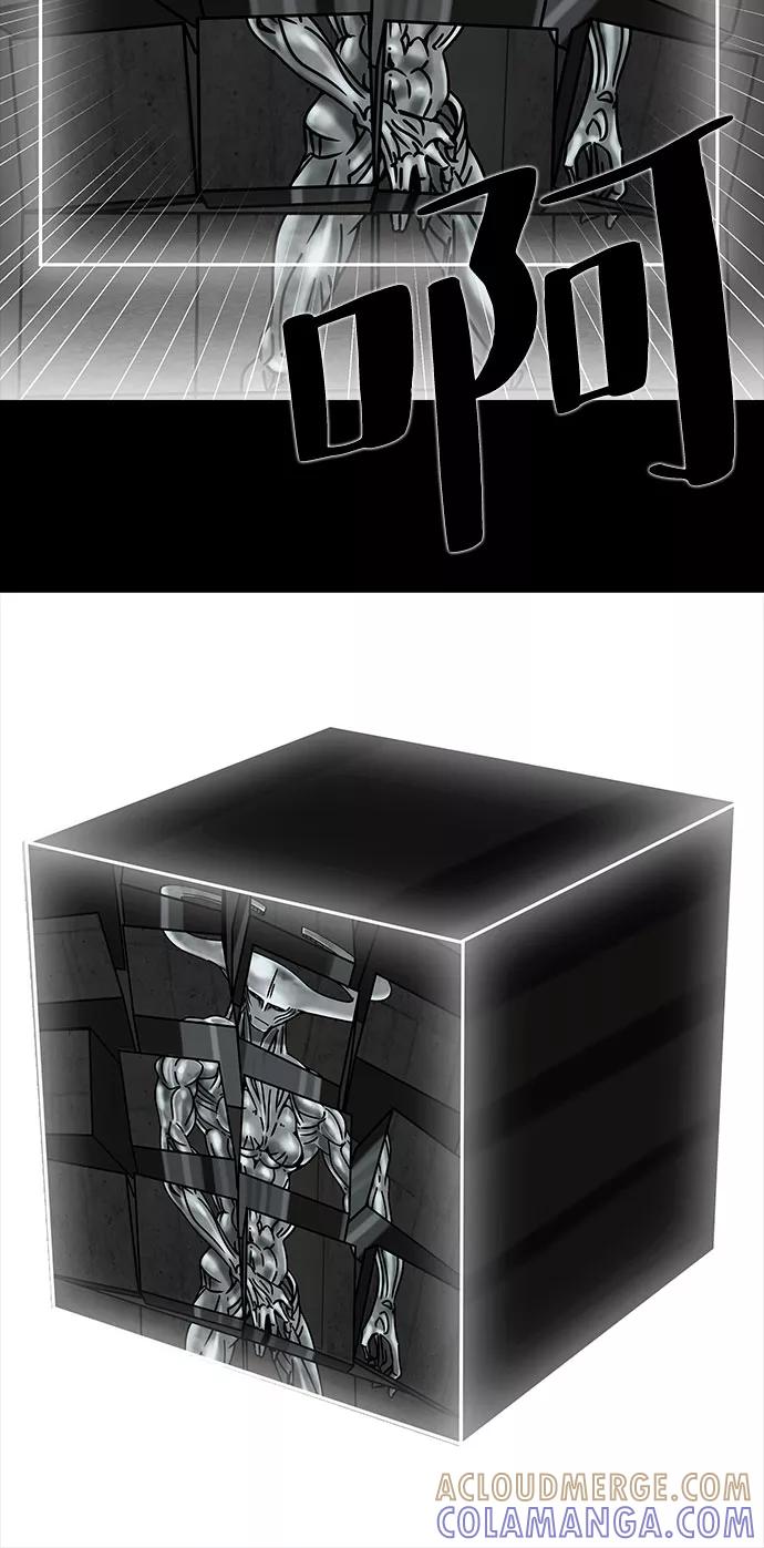 49.jpg