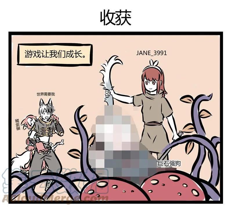 16.jpg