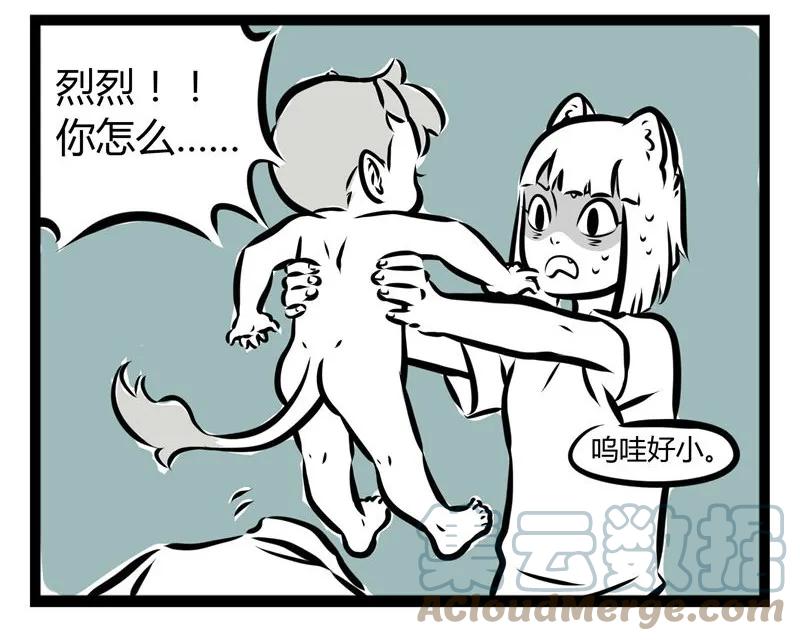 13.jpg