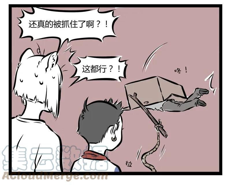 13.jpg