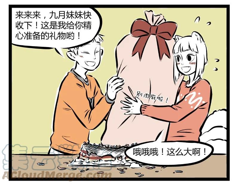 19.jpg