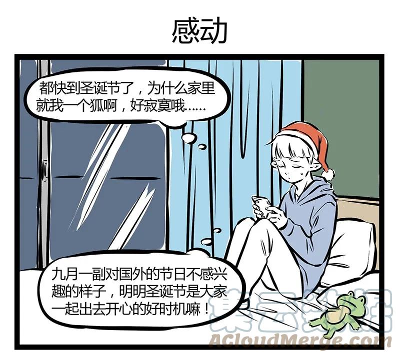 16.jpg