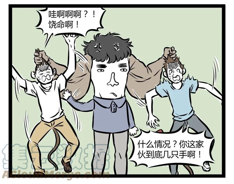 17.jpg