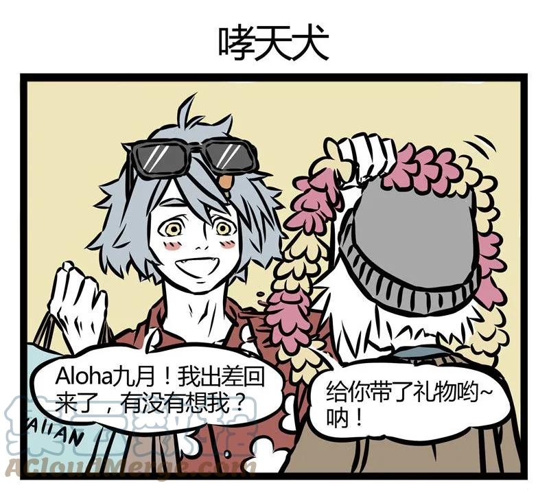 16.jpg