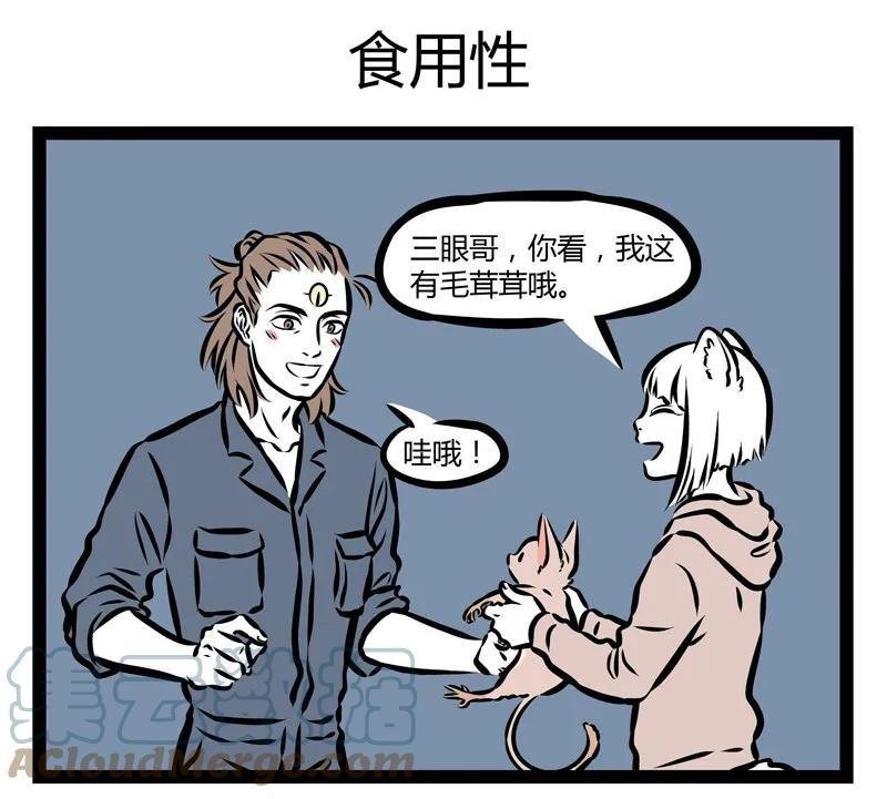 11.jpg