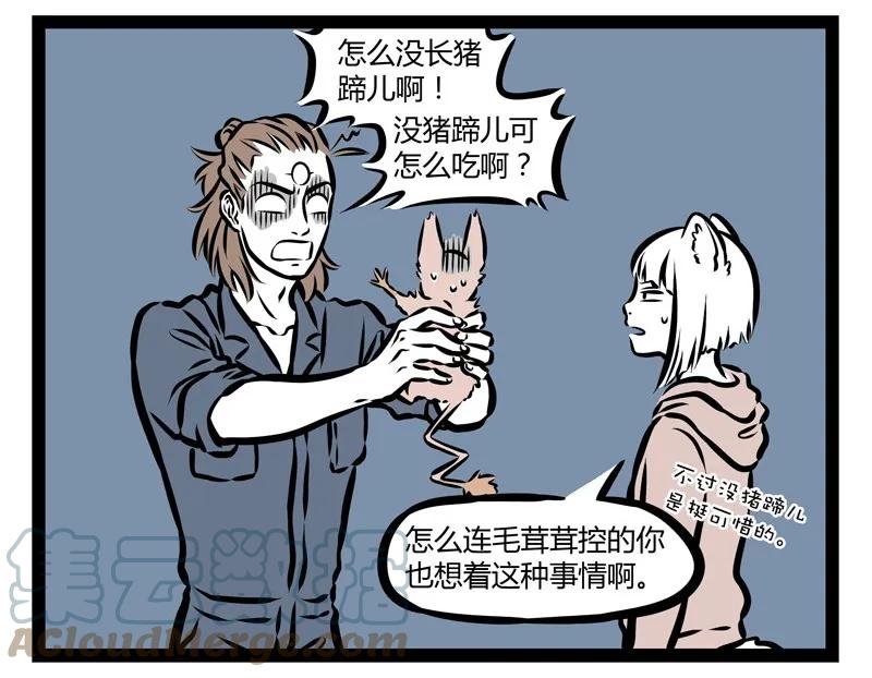 17.jpg