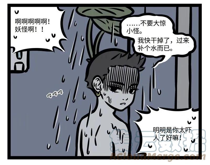 19.jpg