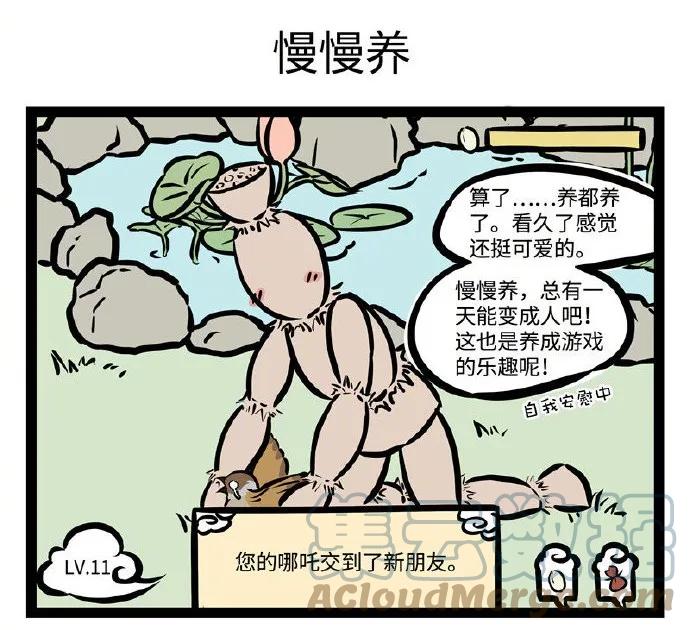 11.jpg