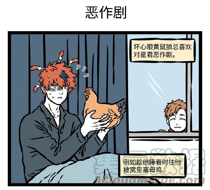 13.jpg