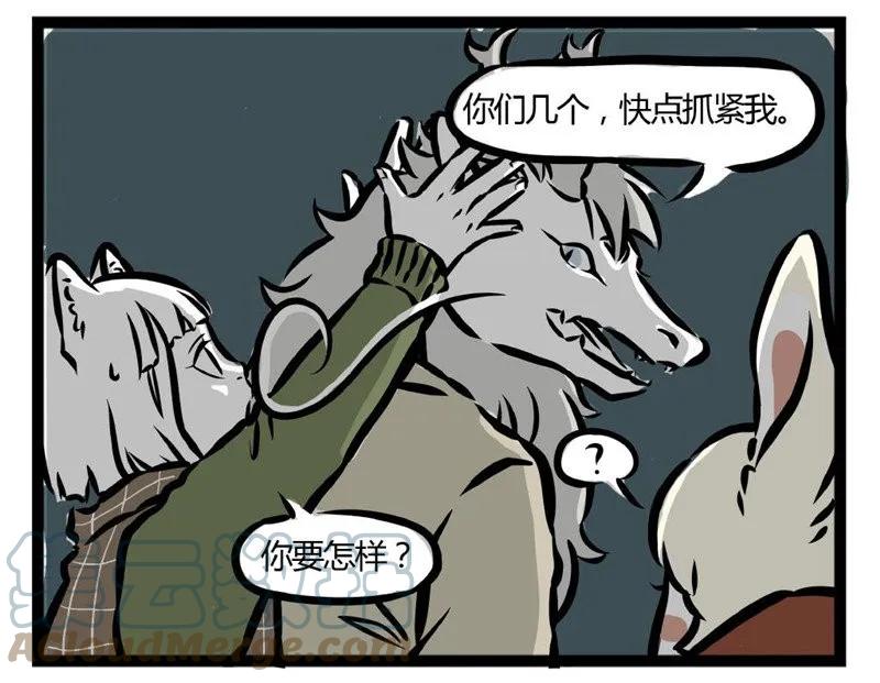19.jpg
