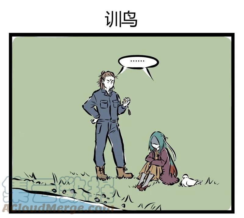 16.jpg
