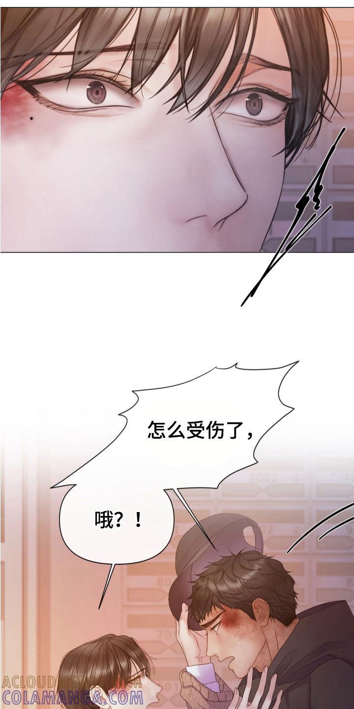 《致命咨询》第112章：【第二季】真正的幸福 第11页