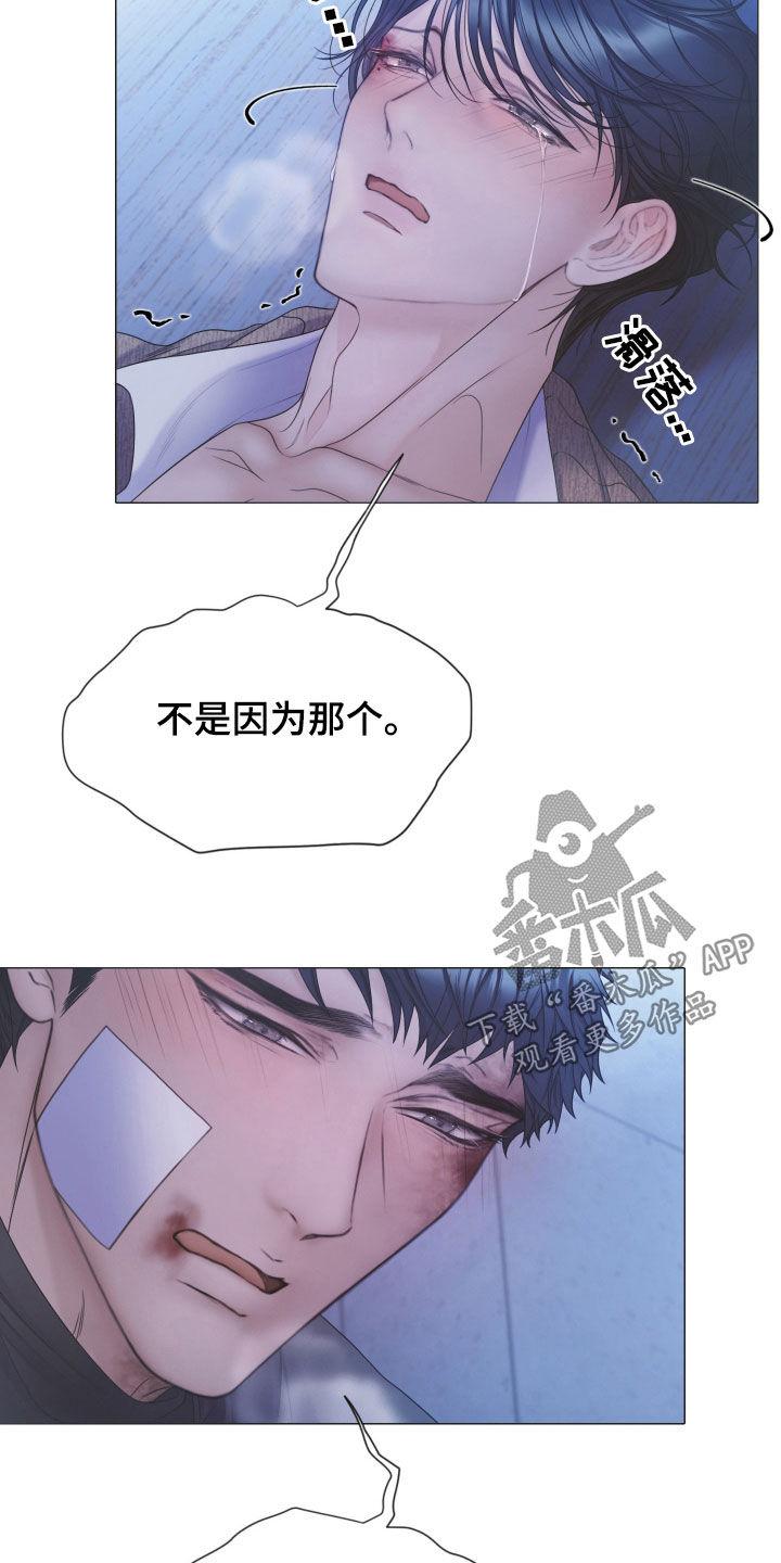 《致命咨询》第116章：【第二季】不要继续了 第12页