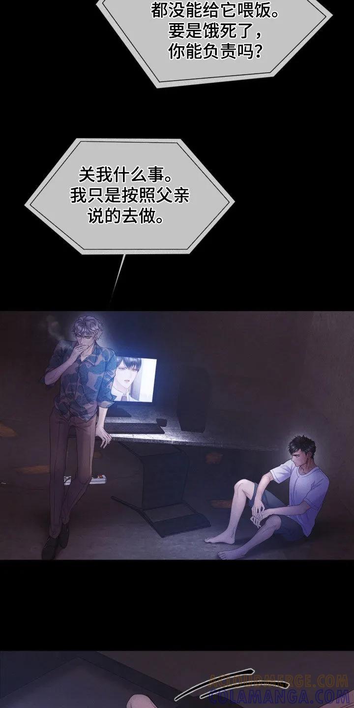 《致命咨询》第120章：【第三季】绝对无法原谅 第13页