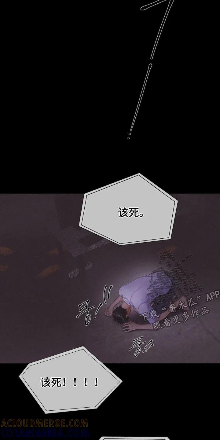 《致命咨询》第120章：【第三季】绝对无法原谅 第5页
