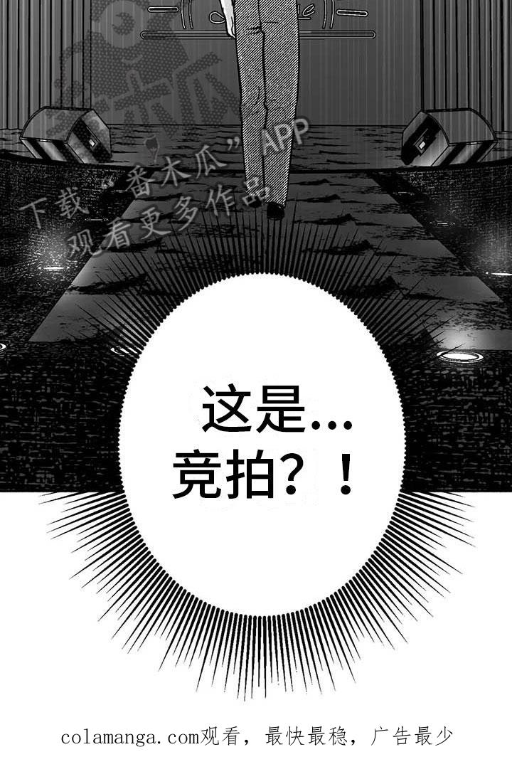 《绯色长夜》第14章：第二场节目 第28页