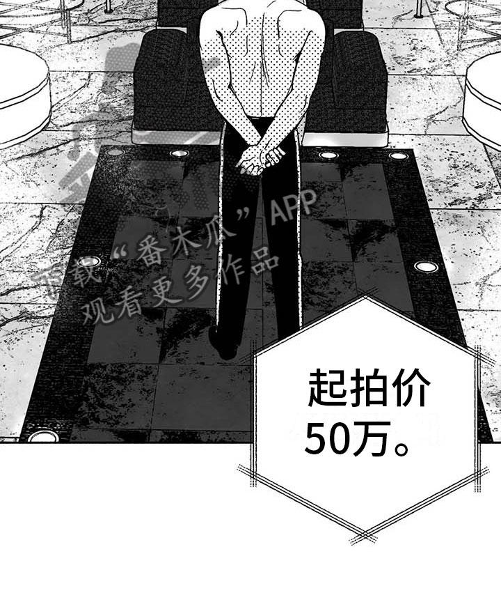 《绯色长夜》第15章：王牌竞拍 第28页