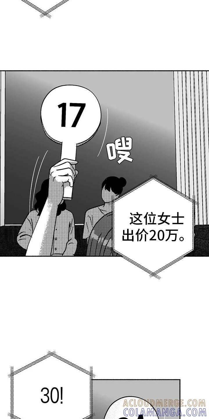 《绯色长夜》第15章：王牌竞拍 第11页