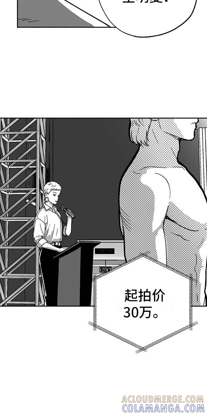 《绯色长夜》第16章：把号码给我 第15页