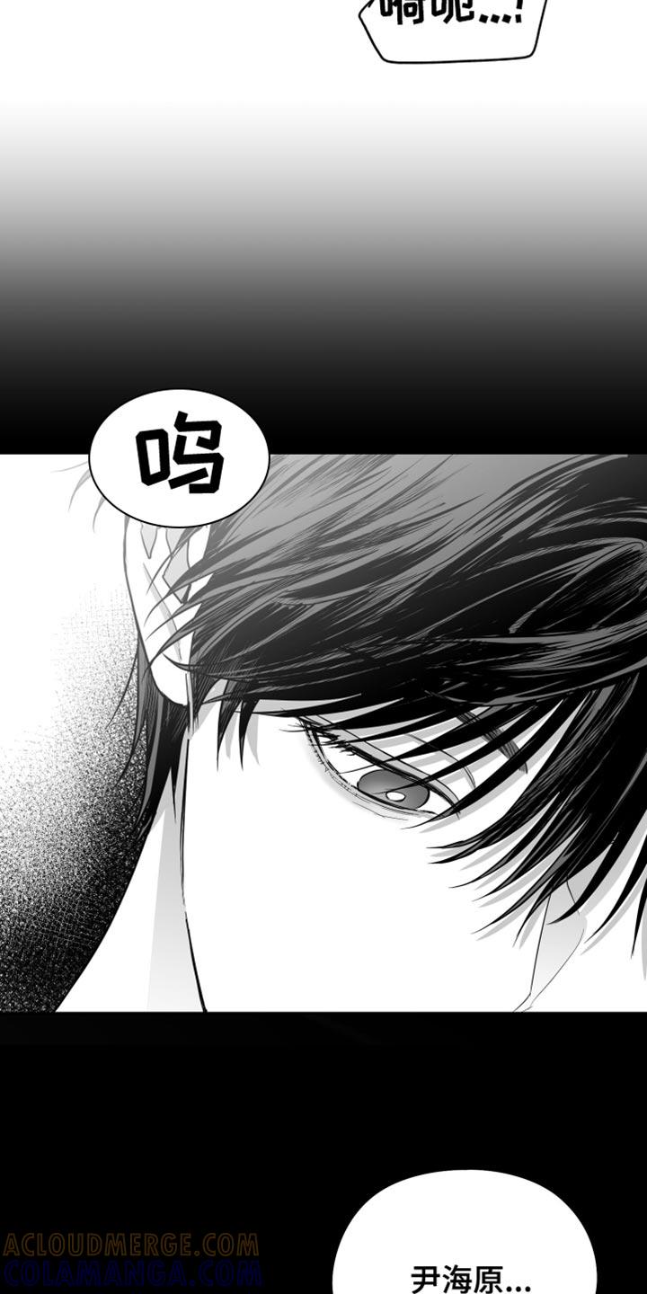 《狂乱欺压》第29章：你喜欢我吧？ 第21页