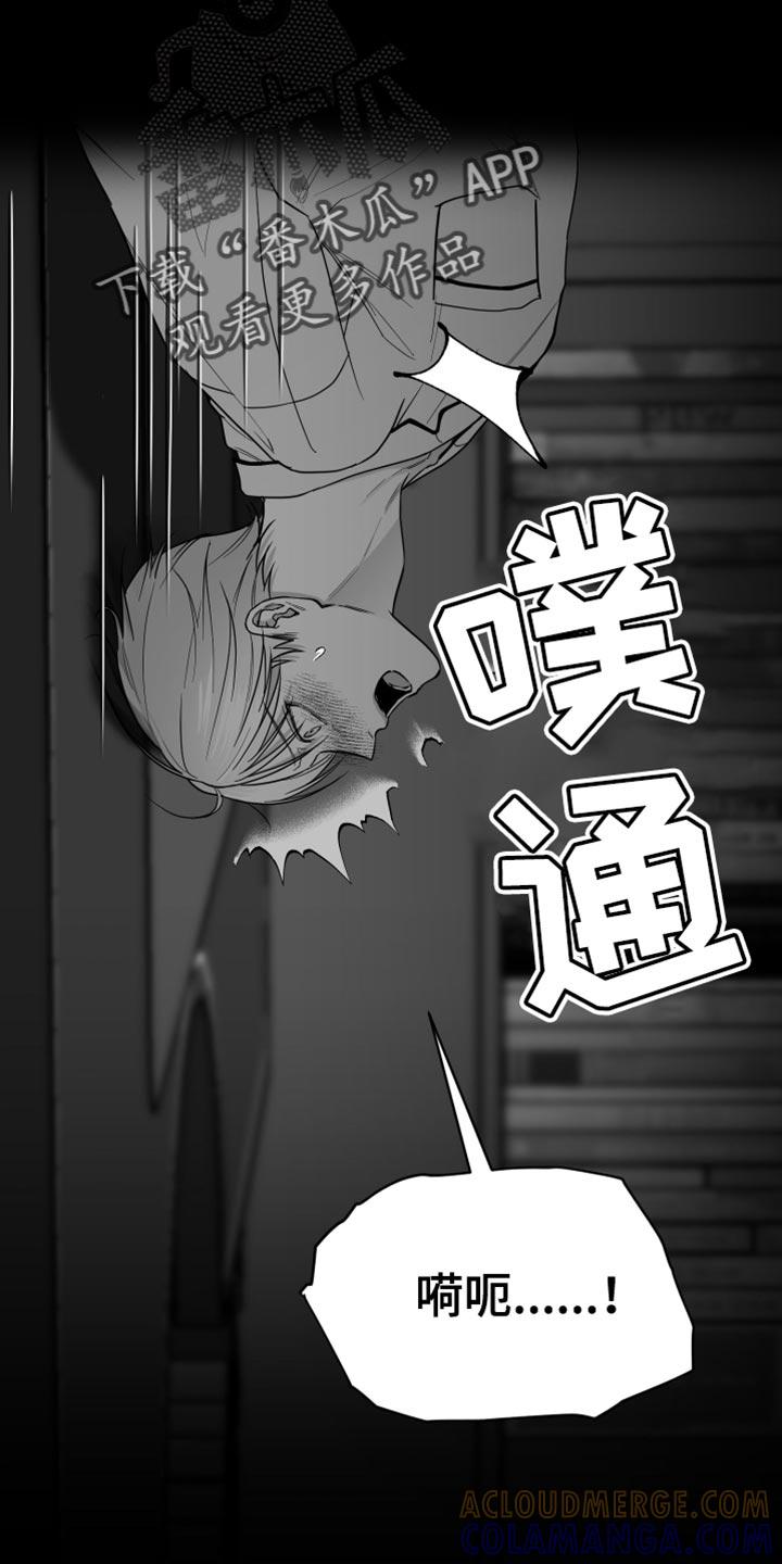 《狂乱欺压》第29章：你喜欢我吧？ 第5页