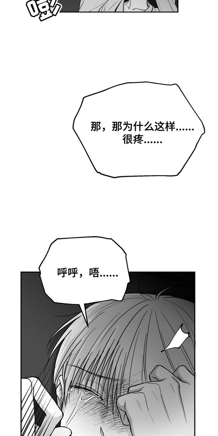 《狂乱欺压》第29章：你喜欢我吧？ 第18页