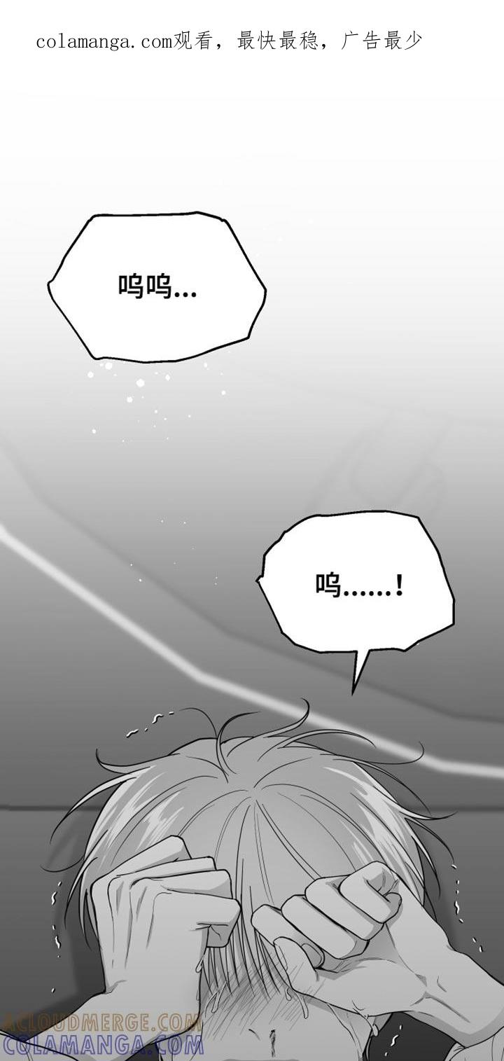 《狂乱欺压》第30章：一直喜欢你 第1页