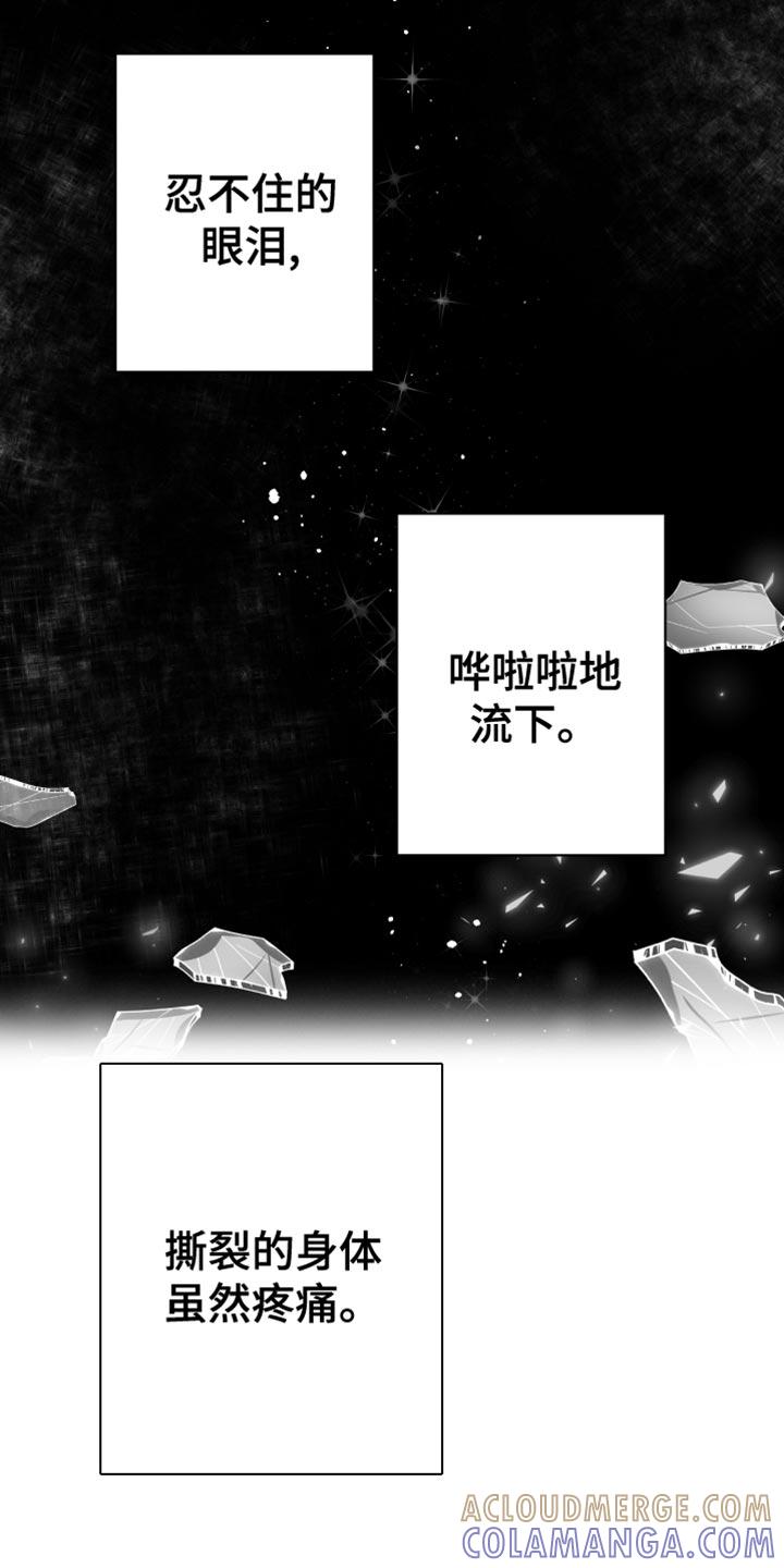 《狂乱欺压》第30章：一直喜欢你 第3页