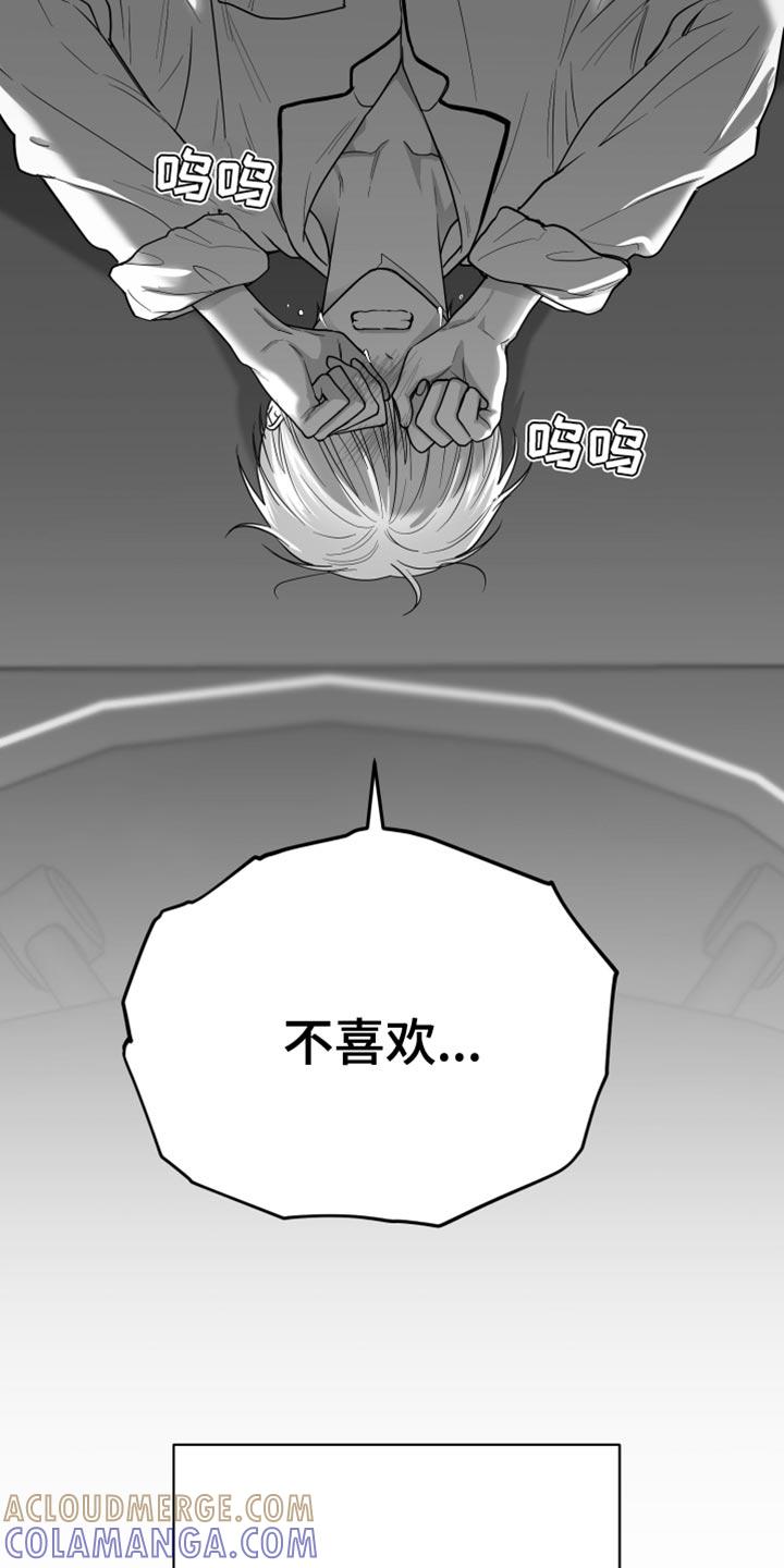 《狂乱欺压》第30章：一直喜欢你 第5页