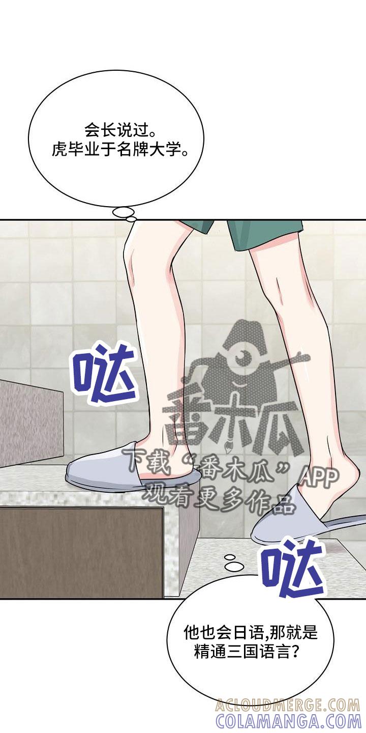 《虎的孩子》第33章：太会撩人了 第15页