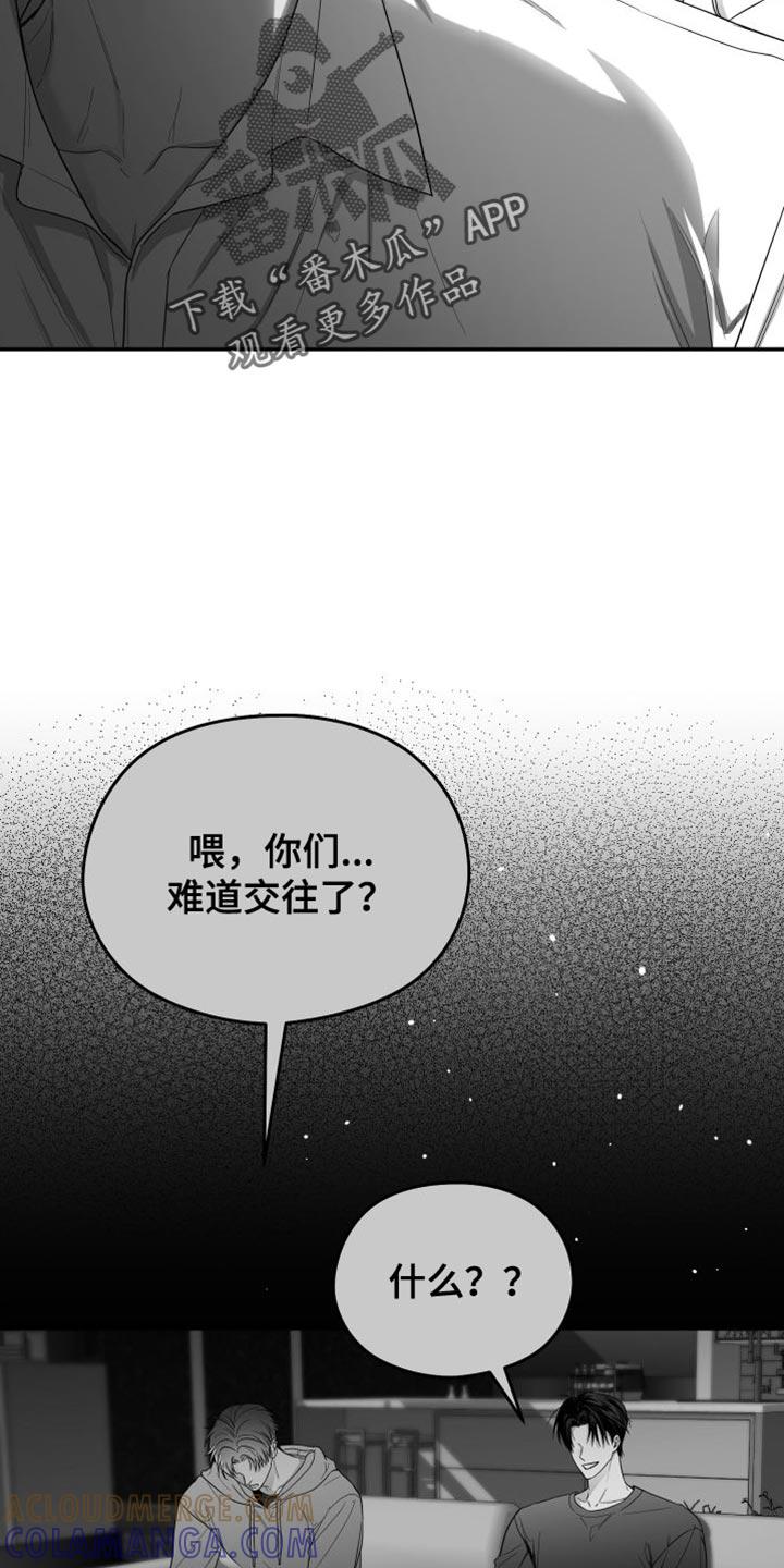 《狂乱欺压》第35章：照片 第17页