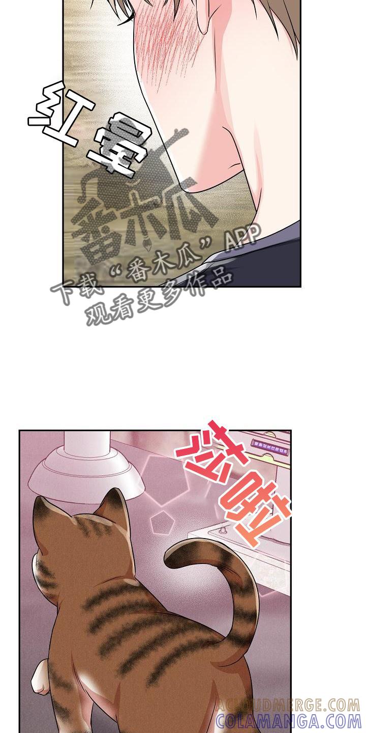 《虎的孩子》第37章：心灵感应 第29页