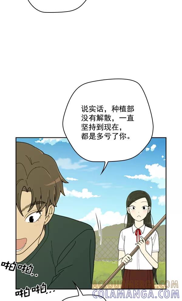 《种植部神秘日志》[第13话] 数秋白菜时再说放弃（4） 第37页