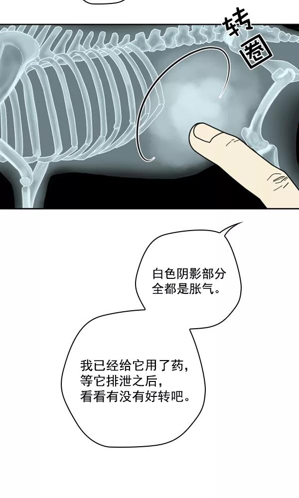 《种植部神秘日志》[第14话] 数秋白菜时再说放弃（5） 第36页