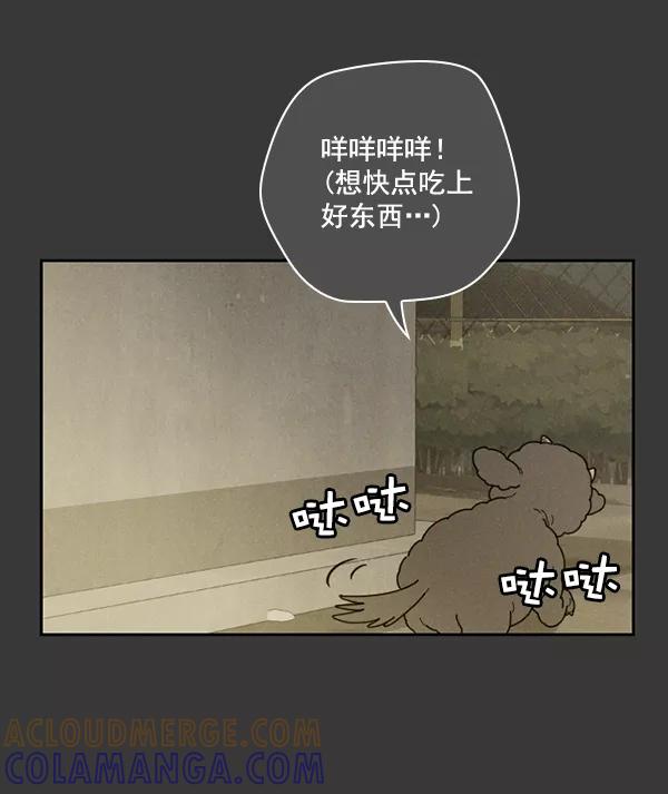 《种植部神秘日志》[第16话] 可你是露葵（2） 第77页