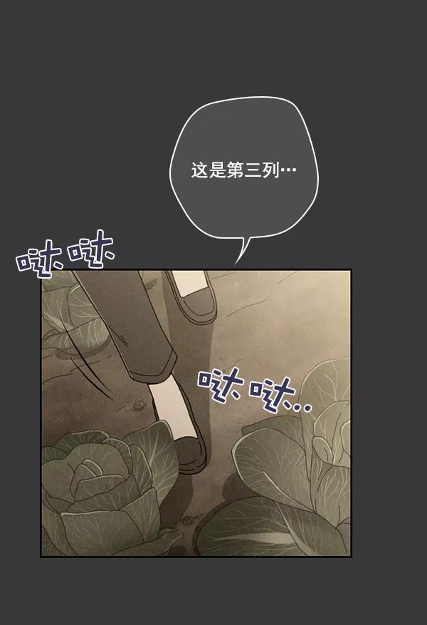 《种植部神秘日志》[第16话] 可你是露葵（2） 第35页