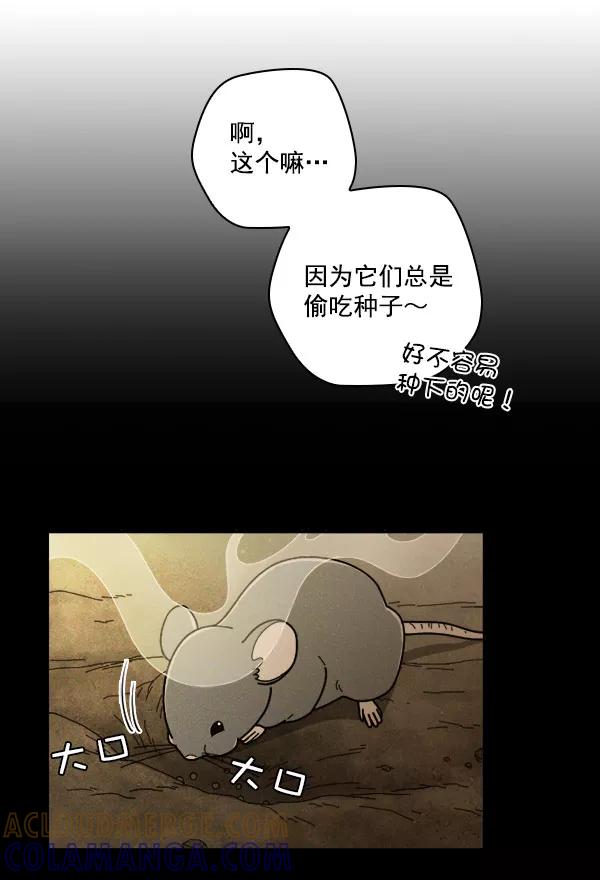 《种植部神秘日志》[第18话] 非常非常完美的男人（2） 第65页